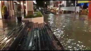 Inundaciones en Pinamar calles anegadas y comercios cerrados [upl. by Stewardson]