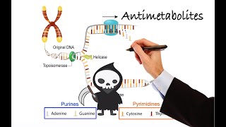 Pharmacology  CANCER DRUGS  ANTIMETABOLITES MADE EASY [upl. by Saxet81]