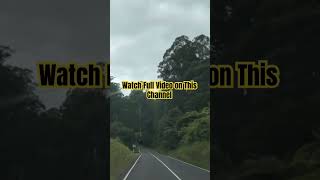 Hidden Gems on the Drive to Noojee shortvideos shortsfeed shortsvideo [upl. by Acinelav]