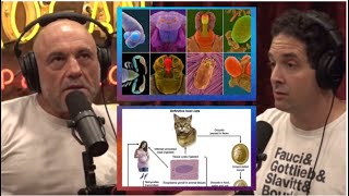 Joe Rogan  The Reckless Parasite  Toxoplasmosis  Alien Altering Human DNA  MRNA Vaccine debate [upl. by Peace]