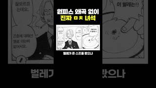 원피스 왜곡 없이 진짜 ㅁㅊ 녀석 [upl. by Irahcaz]