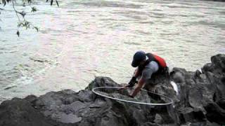 Dipnetting in Chitina Alaska 2010 [upl. by Kristoforo]