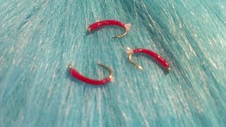 Fly Tying for Beginners Fly No 2 Easy Bloodworm [upl. by Harwell]