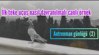 Antrenman günlüğü 2 [upl. by Netty432]