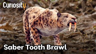 The Secrets of The Saber Tooth Tiger  Breakthrough [upl. by Rea]