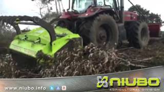 TRITURADORA FORESTAL SUPER DIAMOND  Niubo Machinery [upl. by Marchelle]