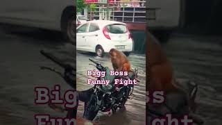 dog vs monkey बंदर और 🐕 की funny 🤣 fight [upl. by Schellens691]