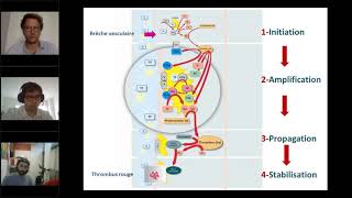 Webinaire AIH  Que fautil savoir sur lhémophilie en 2020 [upl. by Acile556]