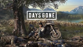 DAYS GONE odc18 Lawenda [upl. by Deehahs]