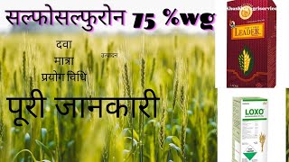 Sulfosulfuron 75 WG की पूरी जानकारी wheat herbicide [upl. by Delphina89]