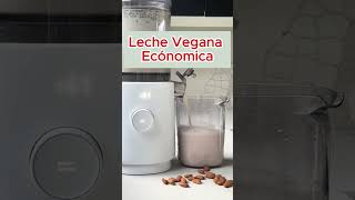 Leche Vegana Económica [upl. by Letnom498]