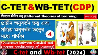 Different Between Classical And Operant Congratulations theoryLearning TheoryCtet And Wbtet [upl. by Janelle]