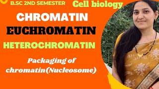 ChromatinEuchromatinHeterochromatinPackaging of ChromatinNucleosome ModelBSc 1st year [upl. by Dunlavy370]