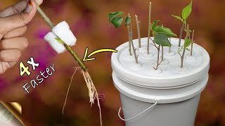 FASTEST METHOD OF ROOTING PLANT CUTTINGS  DIY HYDROPONIC CLONER [upl. by Gipsy120]