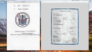 How to Apostille a New Jersey Birth Certificate signed by Vincent T Arrisi [upl. by Nnahtebazile]