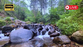 Gentle Water Flow for Sleep Aid and Stress Relief [upl. by Houlberg377]