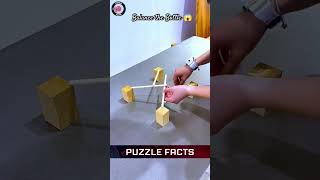 How to solve balance the bottle puzzle guy  Puzzle Facts puzzle shorts ytshorts [upl. by Horatia]