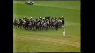 1981 Tote Cesarewitch Handicap [upl. by Nirmak]