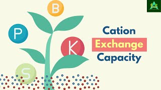 Cation Exchange Capacity agriculture soilscience [upl. by Eannyl]