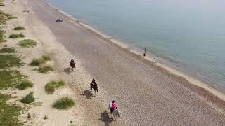 Pakefield Beach Horse Ride [upl. by Greene]