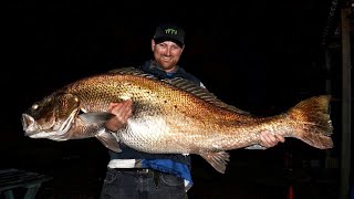 458kg Jewfish Silver mulloway Yes you read that correctly [upl. by Fugere]