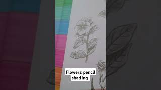 Flowers pencil shading like and subscribe my channel [upl. by Cormier]