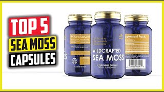 Best Sea Moss Capsules of 2024 [upl. by Palumbo]