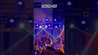 Chaleya  LIVE khudgharz shorts reels chaleya jawan arijitsingh srk [upl. by Furnary]