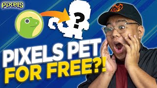 COINGECKO x PIXELS PET GIVEAWAY  PIXELS  PLAY TO EARN [upl. by Essiralc]