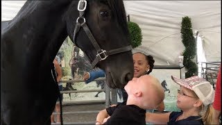 FRIENDLY HORSE KISSES KIDS  BEAUTIFUL FRESIAN HORSE CABALLO [upl. by Nitsugua987]