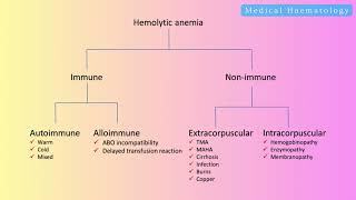 Medical haematology  Intravascular vs Extravascular haemolysis exam notes table contents [upl. by Aljan313]