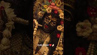 Yaad reh jaati hai krishna love viralshort radhe jaikrishna bpraak sadsong [upl. by Hairaza585]