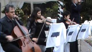 Allegro string trio [upl. by Felizio]