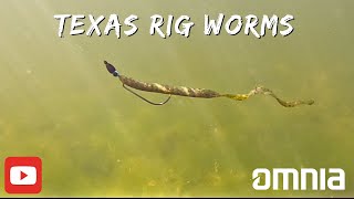 “Mastering Texas Rig Worms Underwater Secrets Revealed” [upl. by Tocci]