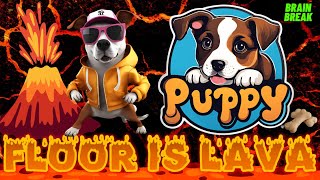 Puppy Floor Is Lava Challenge Kids Exercise amp Brain Break Game  Dance amp Move to Avoid the Lava [upl. by Loveridge]