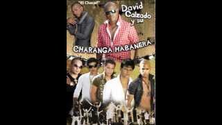 Cuentame Gozando En La Habana  Charanga Habanera Feat El Chacal Reggaeton Remix 2013 [upl. by Novy]