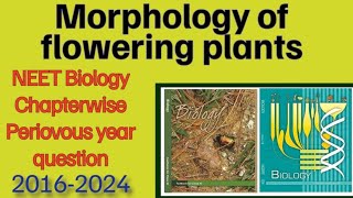 Morphology of flowering plants class 11 neet periovous year question for 2025 [upl. by Divd]