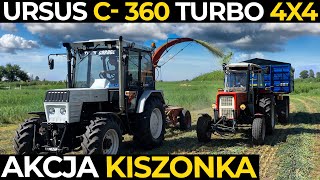 URSUS C 360 TURBO 4X4  URSUS C 360  AKCJA KISZONKA [upl. by Leachim]