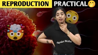 Samriddhi Mam Reply on Reproduction Practical😳  Biology Class 10 [upl. by Nyvets]