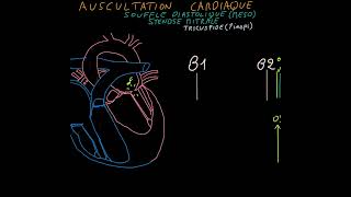 Auscultation cardiaque Souffles cardiaques bruits Partie 2 [upl. by Jeminah]