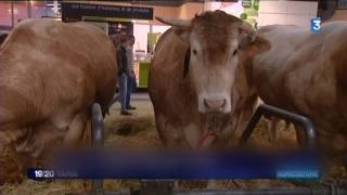 Le Tarn à lhonneur au salon de lAgriculture [upl. by Sigsmond990]