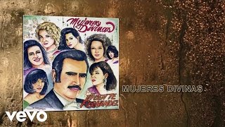 Vicente Fernández  Mujeres Divinas Cover Audio [upl. by Viridis]