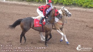 🔥Jefe C Molienda 🆚 Scarface🔥 Fresno Hipodromo SIN🍅 [upl. by Halland]