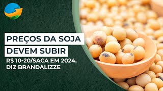 Preços da soja no Brasil devem subir R 1020saca em 2024 diz Brandalizze [upl. by Convery374]