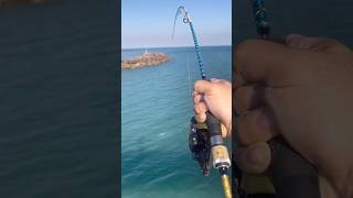 Huge Fish  Nightcliff Jetty Fishing  Darwin NT [upl. by Buchalter]