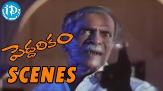 Peddarikam Movie  Jagapathi Babu Father Emotional Scene  Jagapati Babu  Sukanya  A M Rathnam [upl. by Nimad68]