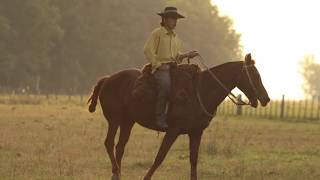 2018 AQHA International Best Remuda Award – La Media Suerte [upl. by Yaron]