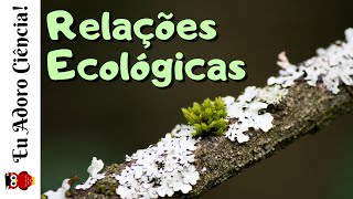 Relações ou Interações Ecológicas Intra e Interespecíficas [upl. by Odele]