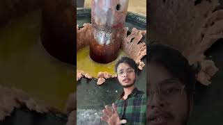 groundnut oil making full process with traditional method shorts [upl. by Seto]