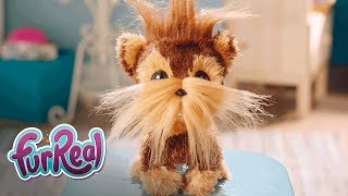 FurReal Friends  Shaggy Shawn’ Official TV Commercial [upl. by Yecart247]